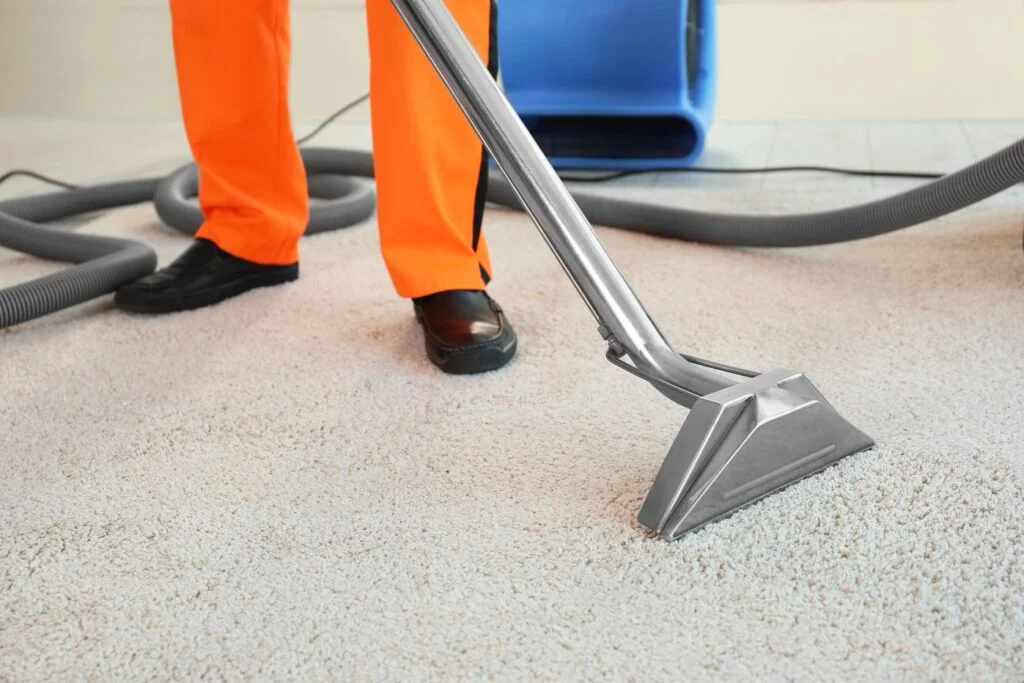 a person vacuuming carpet with a vacuum cleaner