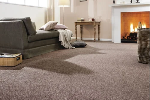 a living room with a fireplace