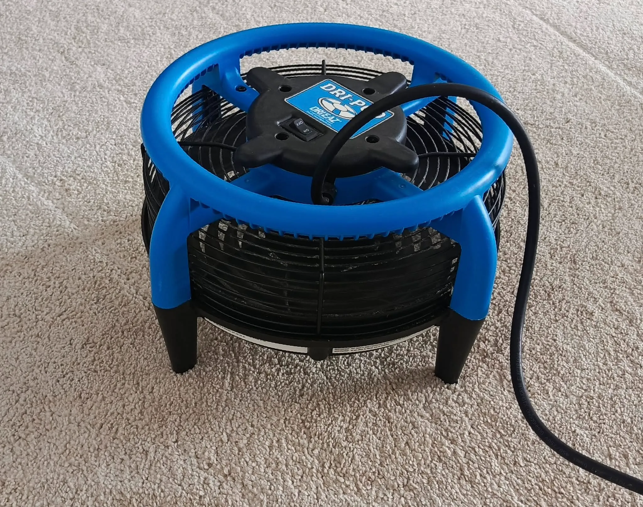 A blue and black air mover sits on a beige carpet. It has a round top with a cord extending from the center, suggesting functionality.